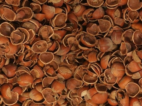 Osmanlı Fındık